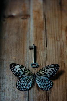 Rice paper butterfly with skeleton key